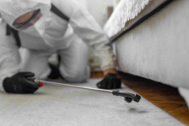Professional Termite Control technician working in Westwood Lakes, FL