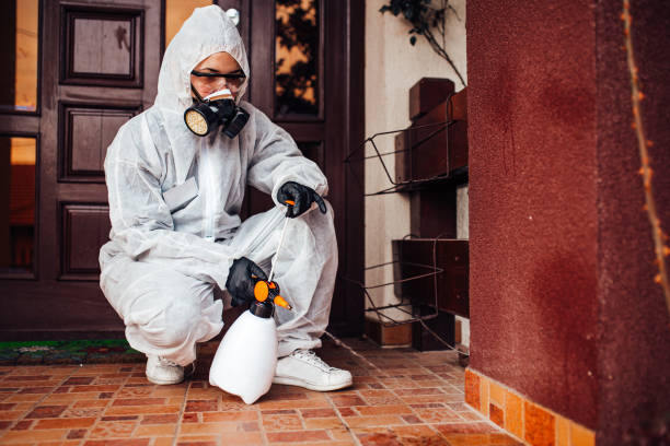Reliable Termite Control contractor in Westwood Lakes, FL by Nex Pest Control
