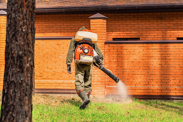Trusted Termite Control service in Westwood Lakes, FL - Nex Pest Control